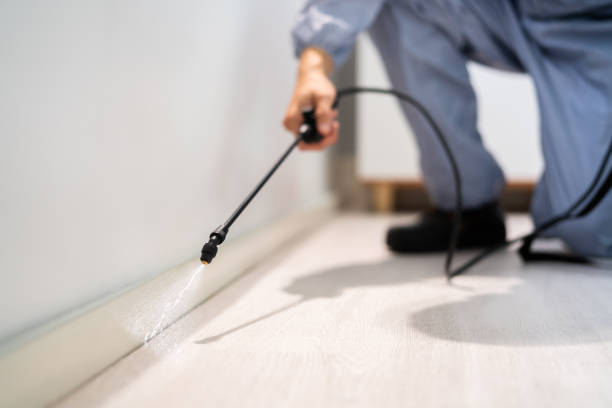 Licensed Cockroach Control service in Mamou, LA - Nex Pest Control