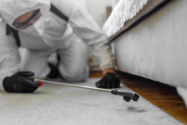 Professional Cockroach Control technician working in Mamou, LA